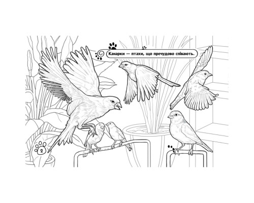 Дитяча розмальовка "Тварини у домі" 583010, 16 сторінок