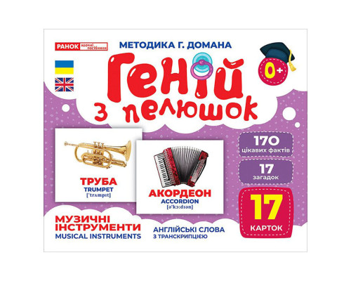 Набор развивающих карточек Гений с пеленок "Музыкальные инструменты"  10107203, 17 карточек