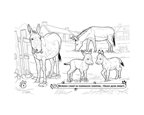 Дитяча розмальовка "Тварини на фермі" 583011, 16 сторінок