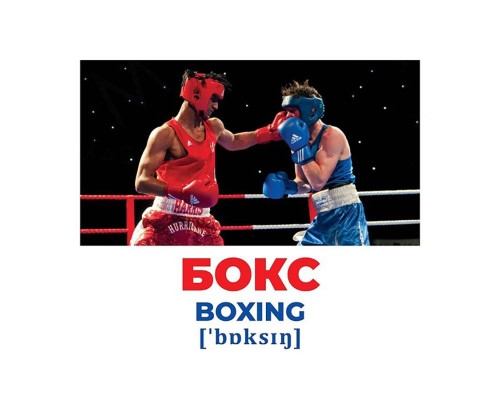 Набор развивающих карточек Гений с пеленок Виды спорта 10107204, 17 карточек