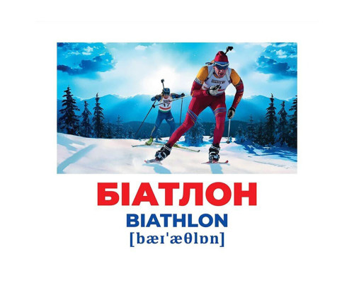 Набор развивающих карточек Гений с пеленок Виды спорта 10107204, 17 карточек