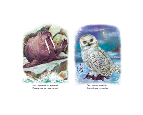 Малюкам про звірят "Тварини світу" 212014 збірка з аудіосупроводом