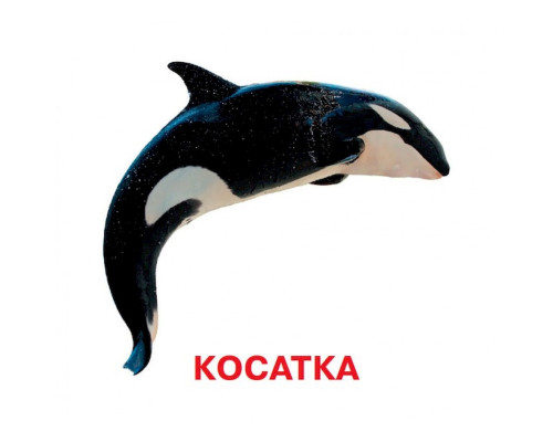 Развивающие карточки для детей Кто в воде живет J802у, 18 картинок