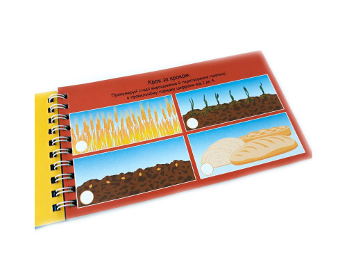 Обучающая книга Цифры 4+ Грайки 123003