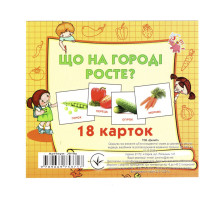 Розвиваючі картки для дітей Що росте на городі J018y, 18 картинок