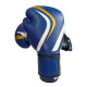 Перчатки боксерские Fight Gear Team Club NE-BOX-BF-10-BL, 10 oz, синий