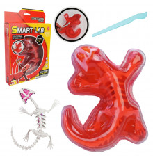 Дитячий лабораторнний набір Ящірка 803B, скелет, внутрішні органи