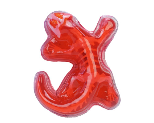 Дитячий лабораторнний набір Ящірка 803B, скелет, внутрішні органи