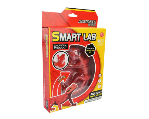 Дитячий лабораторнний набір Ящірка 803B, скелет, внутрішні органи