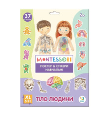 Учебный постер с наклейками "Тело человека" 300901 XL 37 стикеров