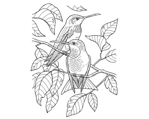 Велика книга розмальовок "Дівчатка та квіти" 1736026, 64 сторінки