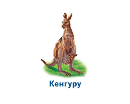 Настольная игра Парочки: Мир животных 1392003, 6 игр