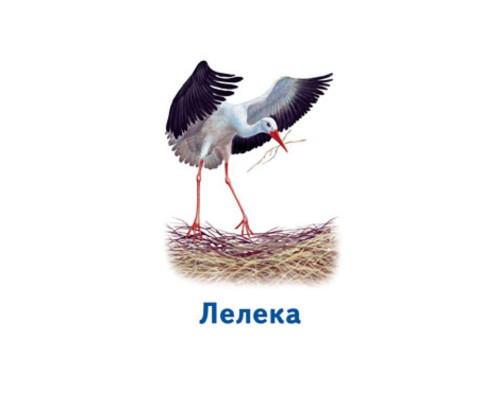 Настольная игра Парочки: Мир животных 1392003, 6 игр