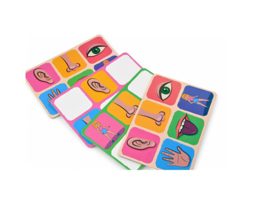 Детское лото "Органы чувств" 2279-UM 4 поля, 48 фишек