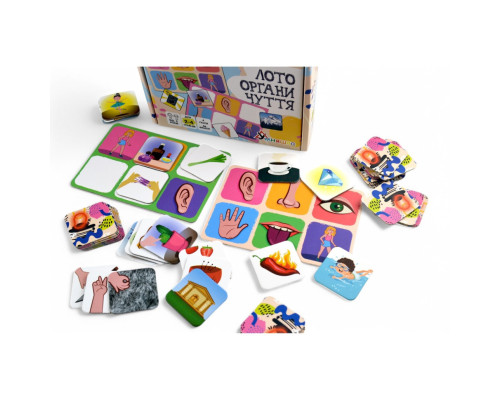 Детское лото "Органы чувств" 2279-UM 4 поля, 48 фишек