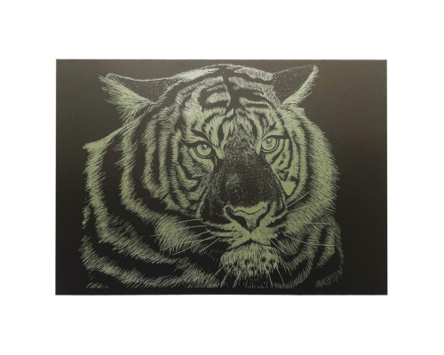 Гравюра А4 "Тигр" ГрА4-5з економ варіант в пакеті 29,7х21 см